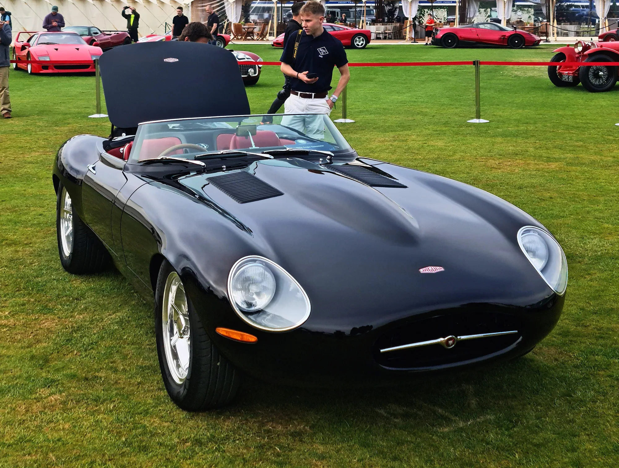 Eagle: Eagle Speedster